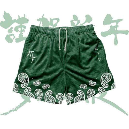 Boy's Emerald Green Shorts - Molty.fit