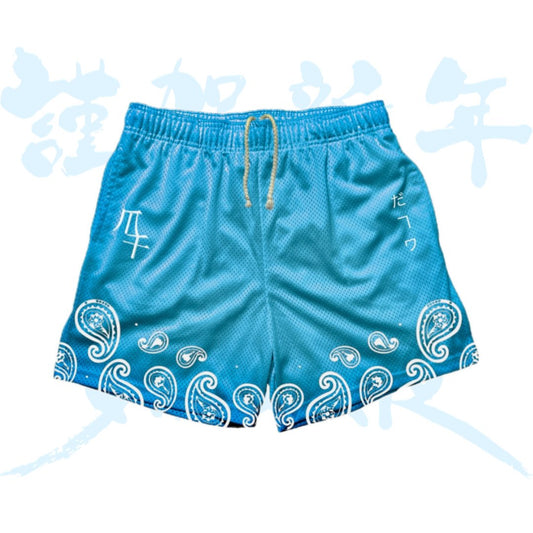 Sky Blue Unisex Athletic Shorts - Molty.fit